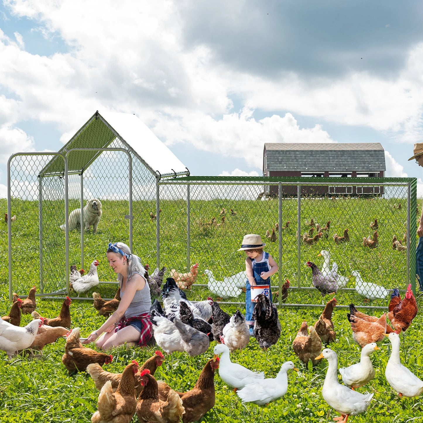 Walk-In Metal Chicken Coop with Waterproof Cover — 10x3.3x5 Ft | Outdoor Backyard & Farm Poultry Cage