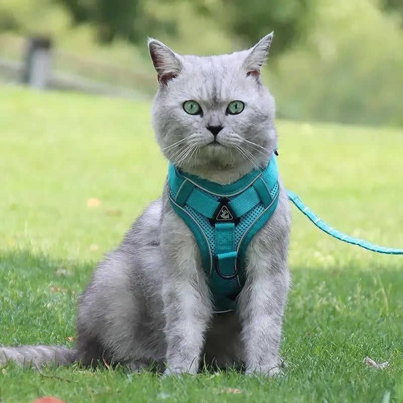 No-Pull Dog & Cat Harness & Leash Set — Adjustable, Reflective Vest