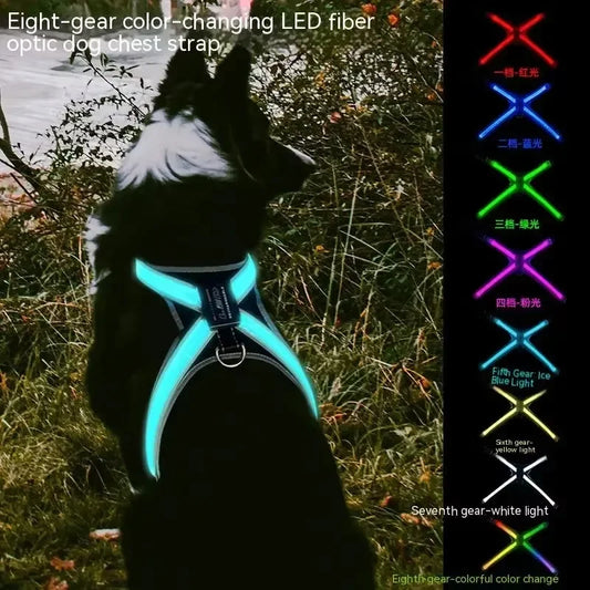 Color-Changing LED Dog Collar & Harness — Reflective Safety Vest for Night Walks