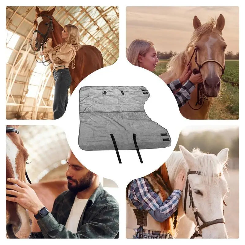 Adjustable Reusable Horse Fly Sheet — Lightweight UV Protective Mesh