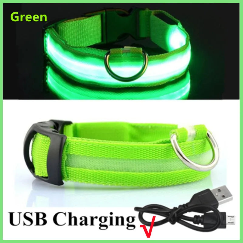 USB Rechargeable LED Dog & Cat Collar — Adjustable, Nylon, Night Safety | XS–XXL