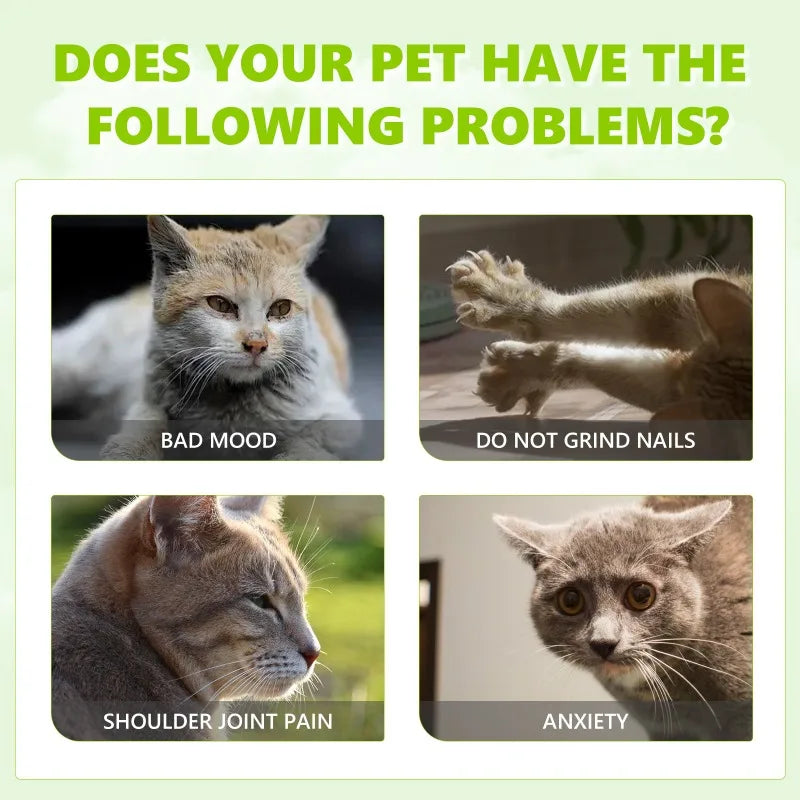 Catnip Spray Relieves Cats' Anxious Moods. Vitality for Healthy Care