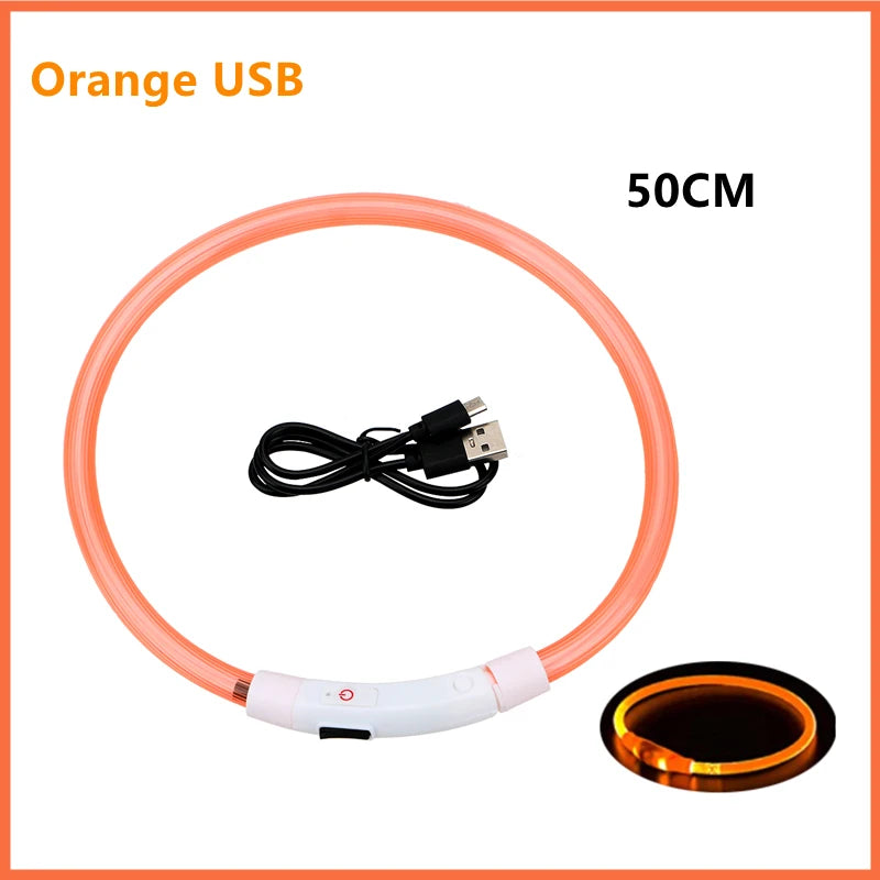 USB Rechargeable LED Dog & Cat Collar — Adjustable, Nylon, Night Safety | XS–XXL