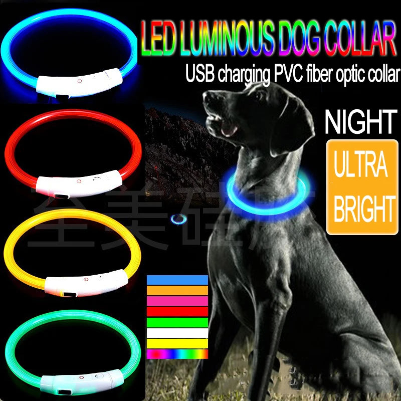 Rechargeable LED Dog Collar — Bright Light for Night Safety