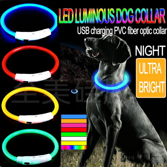Rechargeable LED Dog Collar — Bright Light for Night Safety