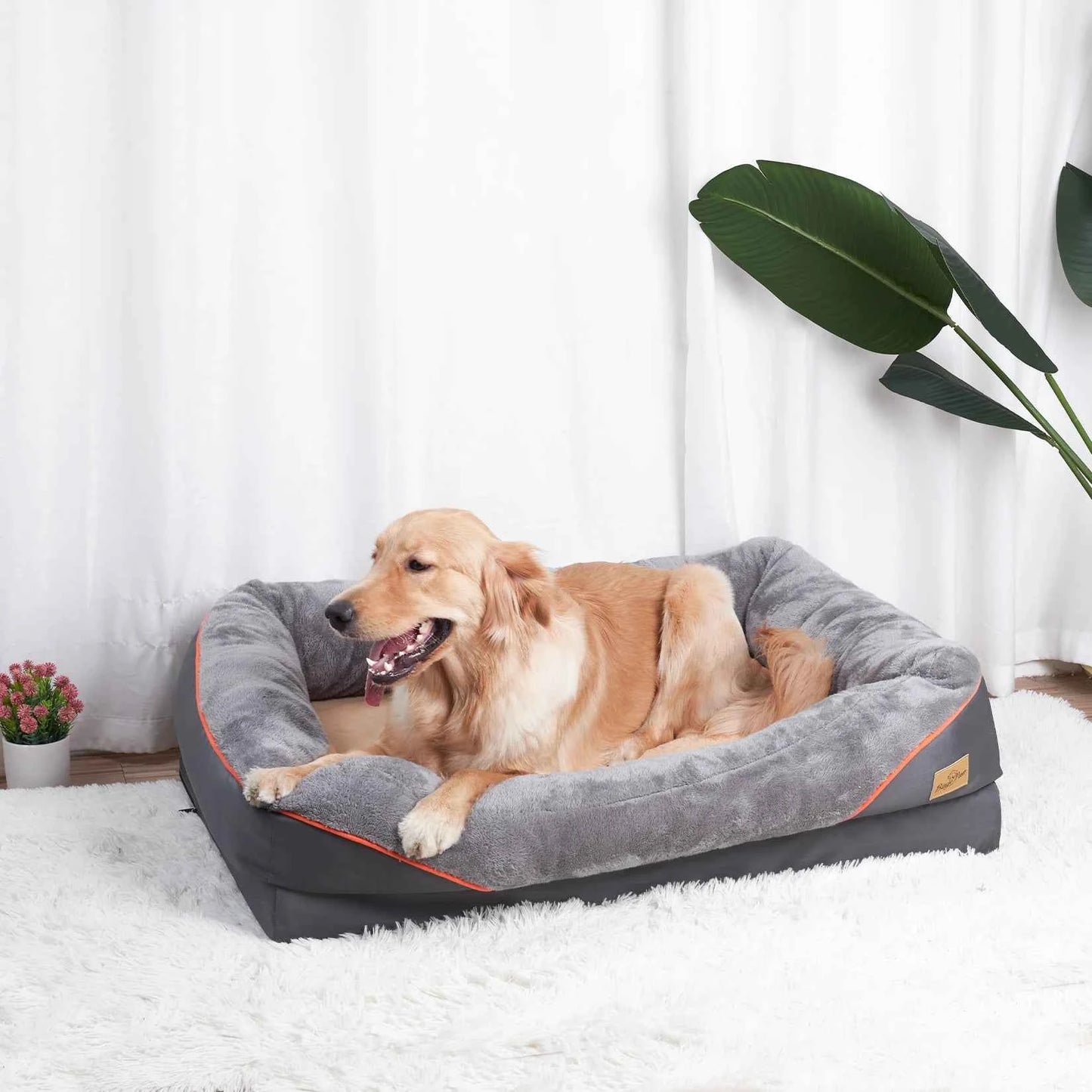 Large Dog Bed with Removable Washable Waterproof Cover — Sponge Foam Support (Copy)