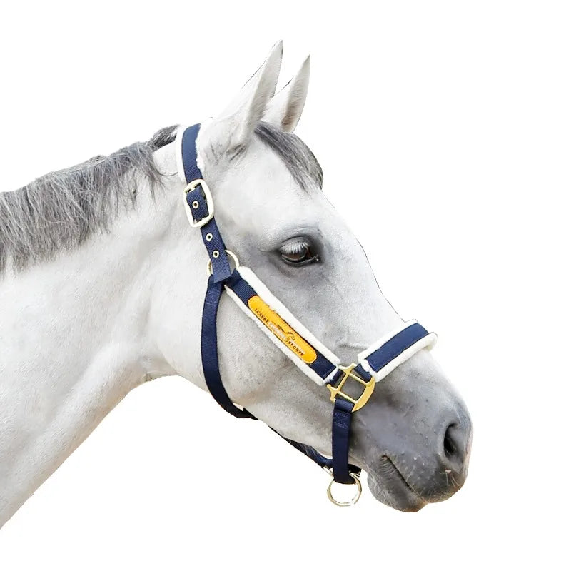 Horse Halter — Adjustable, No Ear Cover