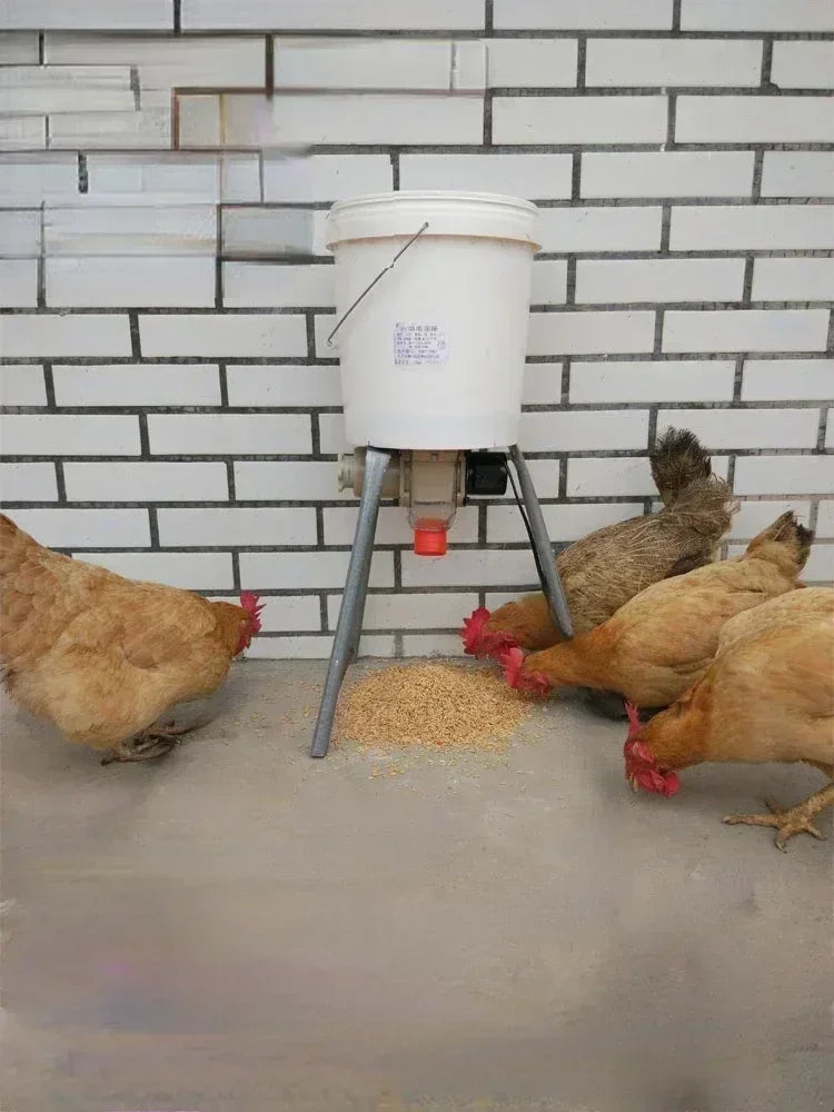 Automatic Poultry Feeder with Timer — WiFi Control or Solar Powered | Chickens, Ducks & Pigeons