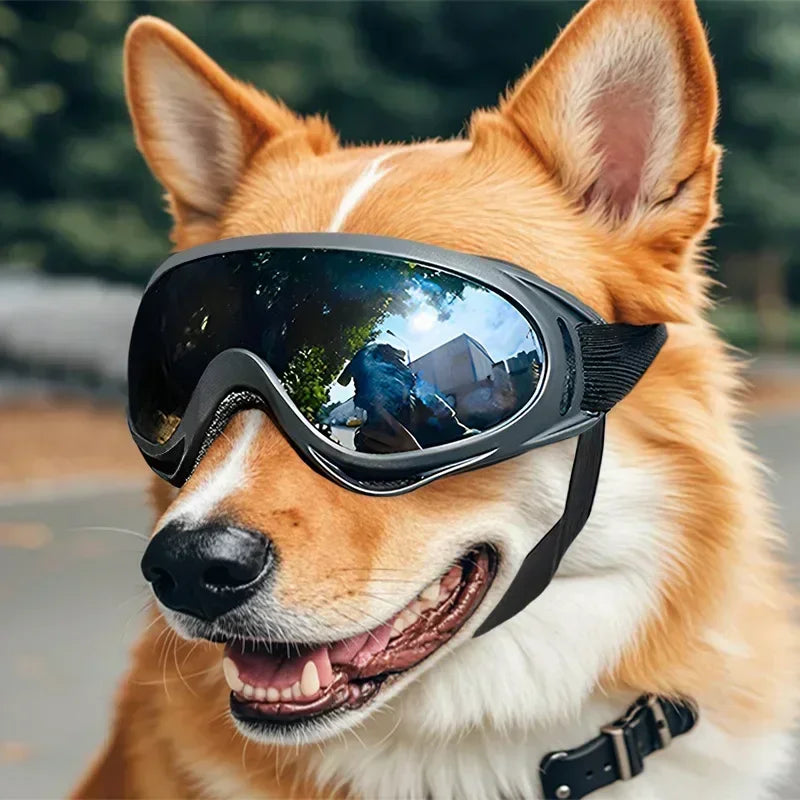 Adjustable Pet Goggles — Anti-UV Windproof Sunglasses for Dogs & Cats, All Breeds