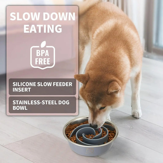2-in-1 Stainless Steel Slow Feeder Dog Bowl — Silicone Insert, Anti-Slip Base, All Dog Sizes