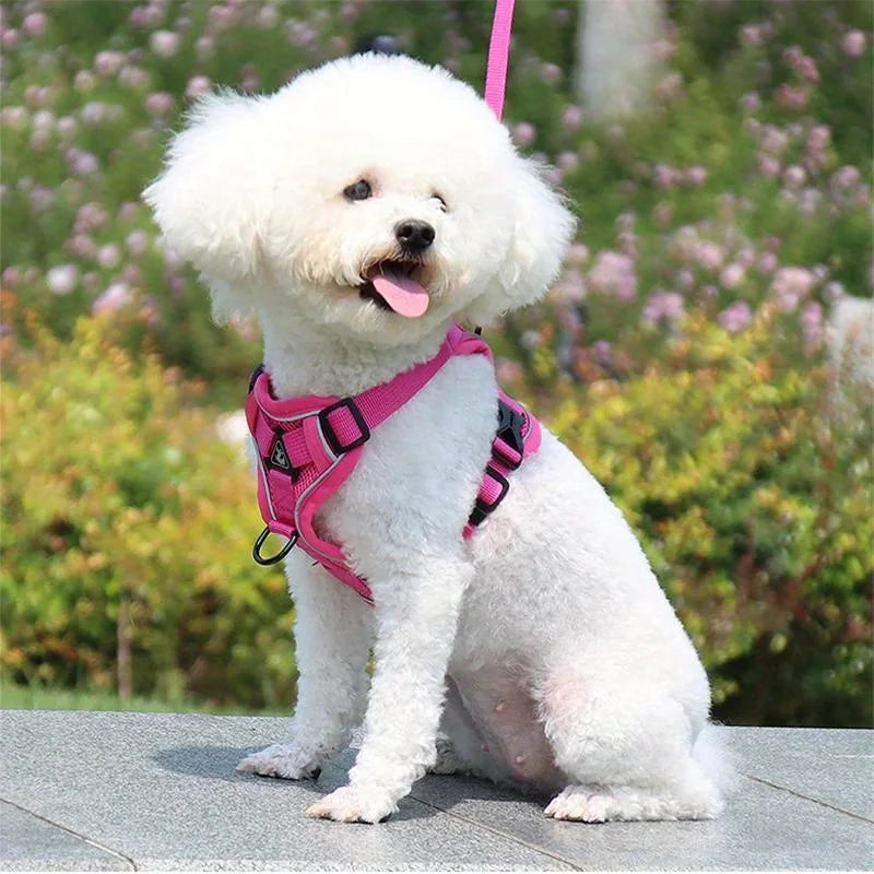 No-Pull Dog & Cat Harness & Leash Set — Adjustable, Reflective Vest