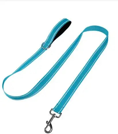 Reflective Night Safety Lead Strap for Dogs & Cats — Multiple Lengths & Colors