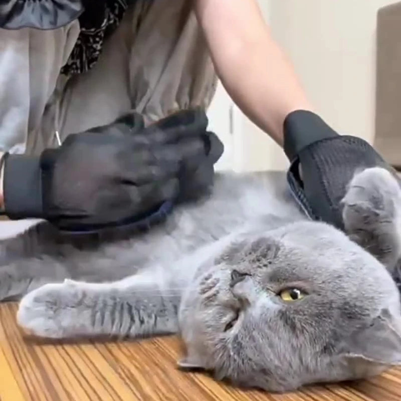 Silicone Pet Grooming Gloves for Dogs & Cats — Gentle Massage & Deshedding
