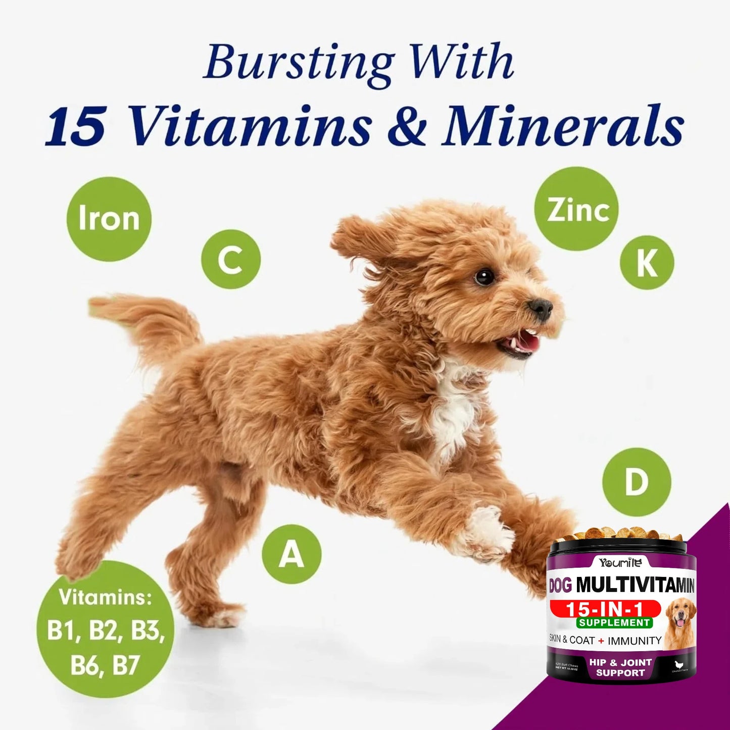 15-in-1 Multivitamin for Dogs — Supports Hair Loss, Digestion & Immune Health
