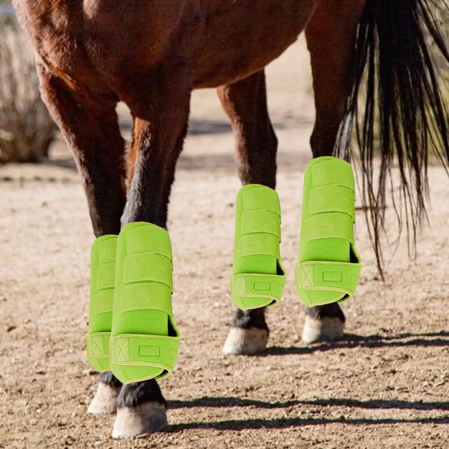 Horse Leg Boots — 4-Pack Durable Protection & Support for Outdoor Training | S, M, L