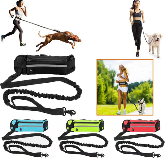Hands-Free Dog Leash with Waist Bag — Reflective, Retractable, Elastic Belt