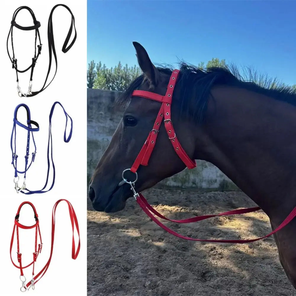 Heavy Duty Horse Bridle with Headband — Adjustable, 3 Colors