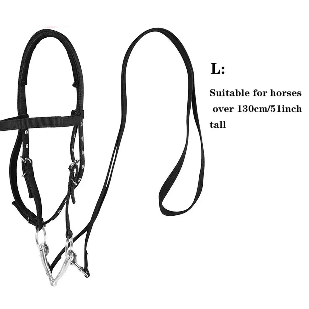 Adjustable Horse Halter with Lead Rope — 3 Buckles, Padded, Sizes S & L