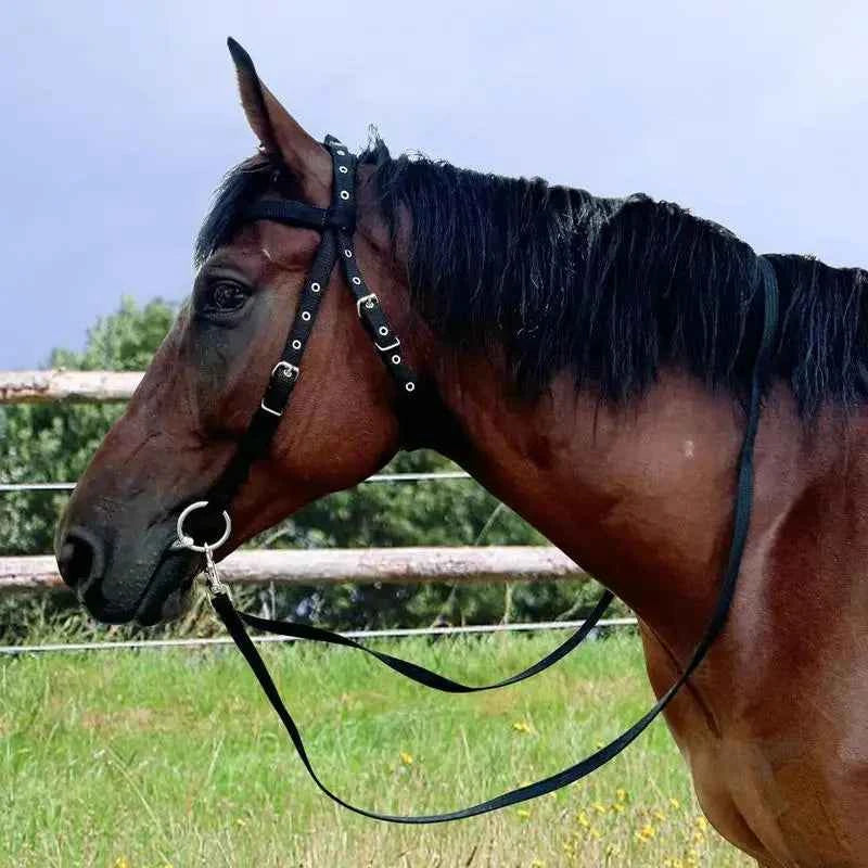 Adjustable Horse Halter Throat Latch For Horse Bridle With 3 Buckles Horse Head Headstall Lead Rope Horse Farm Must-have