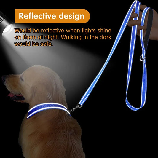 Reflective Dog & Cat Harness Lead Strap — Night Walking & Training, 1.2m / 1.5m / 1.8m