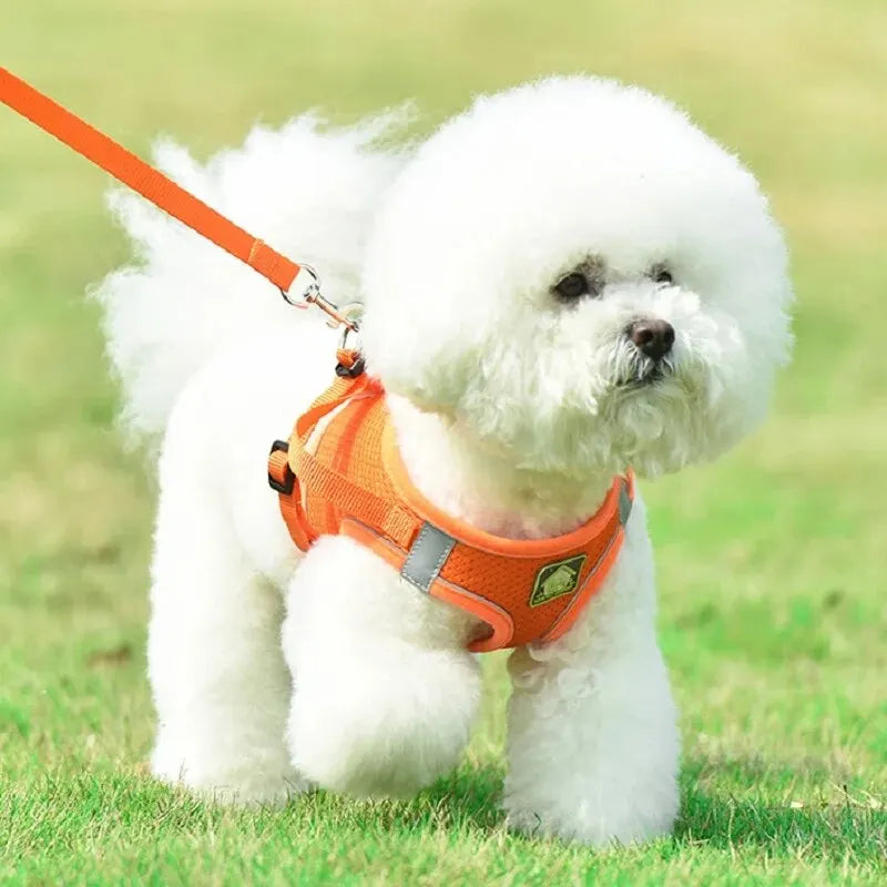 Reflective Dog Harness & Leash Set — Safety Walking Gear