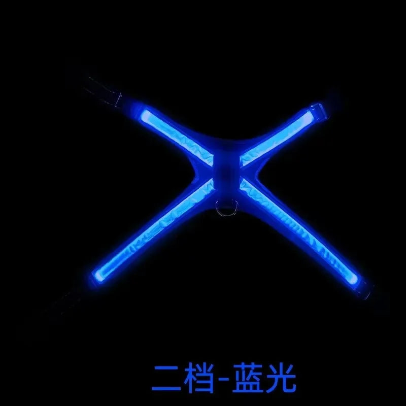 Color-Changing LED Dog Collar & Harness — Reflective Safety Vest for Night Walks